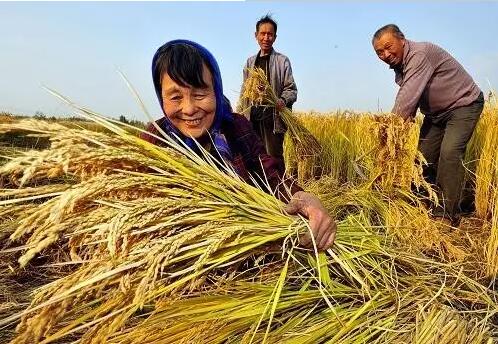 重磅！繼包產(chǎn)到戶之后，我國(guó)農(nóng)村又一次迎來(lái)重大改革