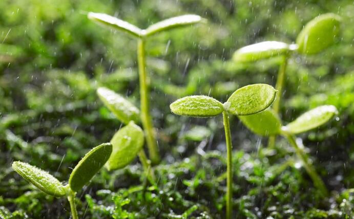 動態(tài) | 生物刺激劑多重效果大揭秘，可減少百萬噸氮肥的投入！