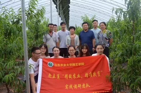 香港資料內(nèi)部資料精準(zhǔn),實(shí)踐調(diào)查說明_TYN50.750藝術(shù)版