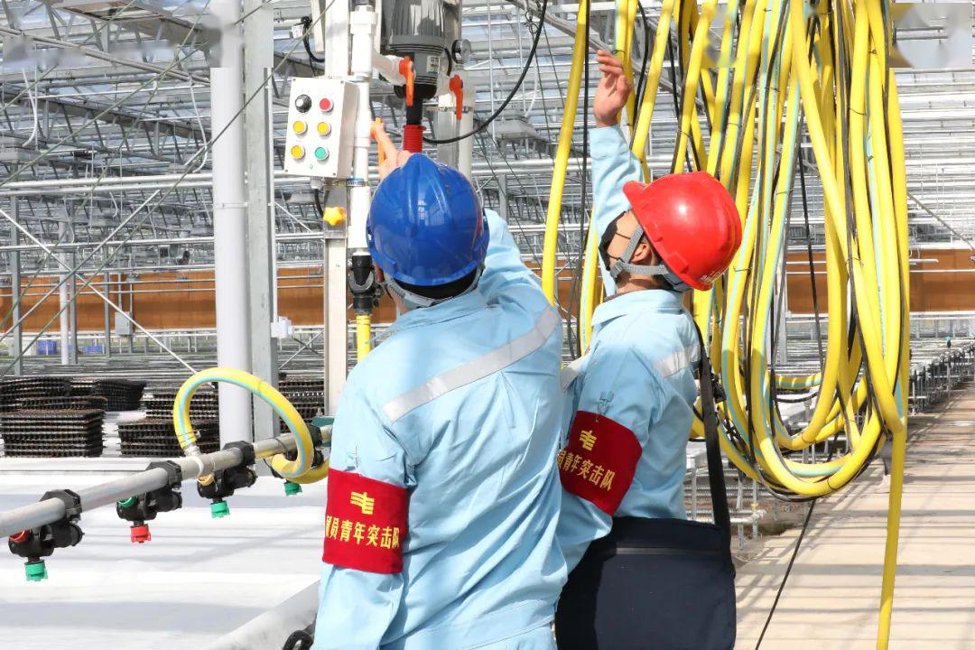 草海機(jī)場(chǎng)最新動(dòng)態(tài)揭秘，建設(shè)進(jìn)展、航班信息及未來(lái)展望