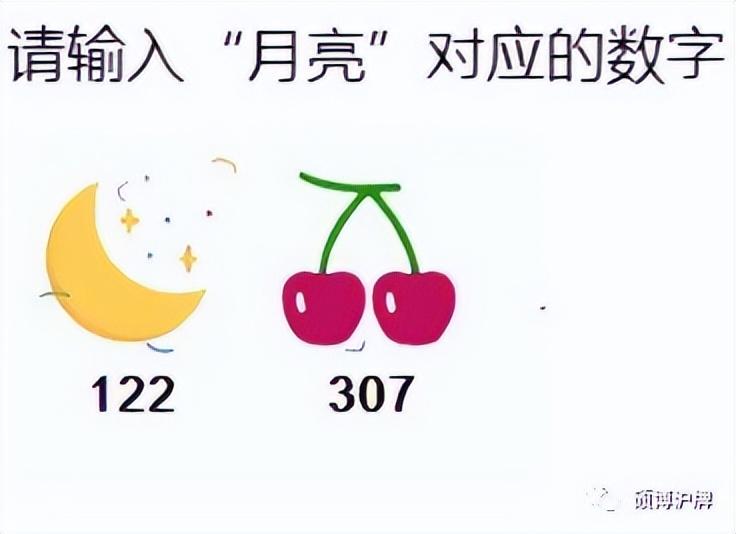 最新滬牌價格揭秘，小巷中的特色小店探秘