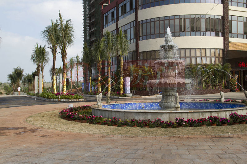 棕櫚水城最新動態(tài)，塑造理想生活新標(biāo)桿！