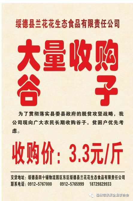 淄川最新財務(wù)招聘，職業(yè)發(fā)展的理想選擇