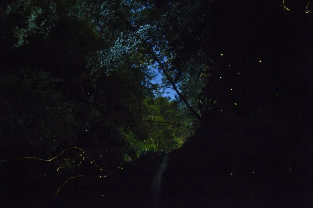 四不像六好彩資料,行動(dòng)規(guī)劃執(zhí)行_TXQ23.842全景版