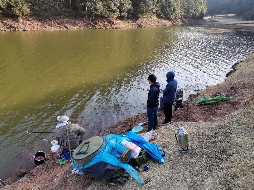 最新水庫(kù)釣魚(yú)視頻，探索釣魚(yú)樂(lè)趣與技巧全攻略