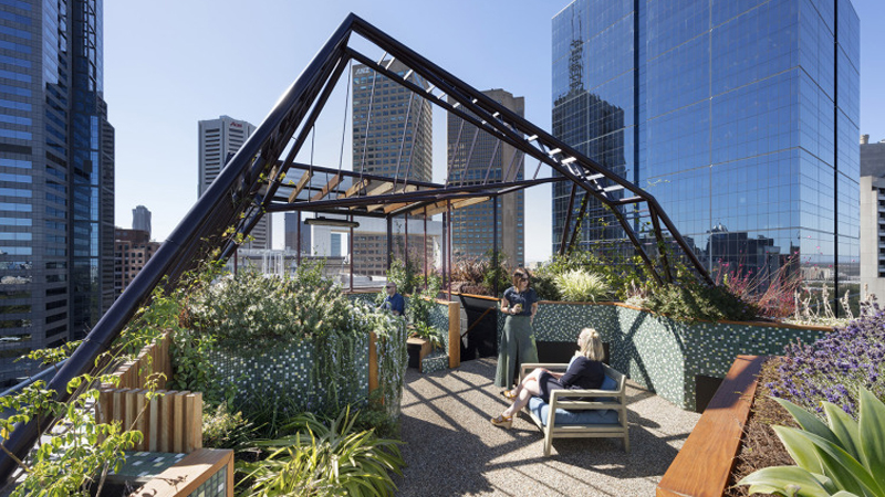最新樓頂花園設(shè)計與展示，綠意盎然，繁花似錦的空中花園體驗