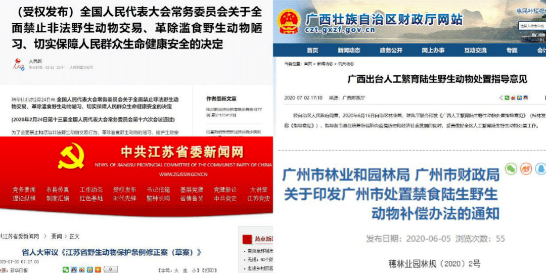 管家婆精準(zhǔn)期選一肖福利活動(dòng),實(shí)際調(diào)研解析_BDE27.204跨界版