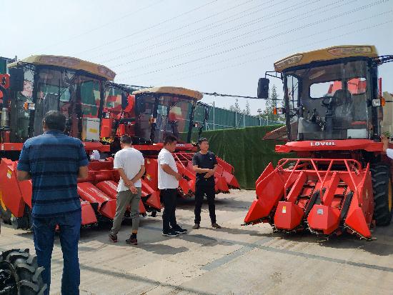 邳州玉米最新價格，時代見證下的市場動態(tài)