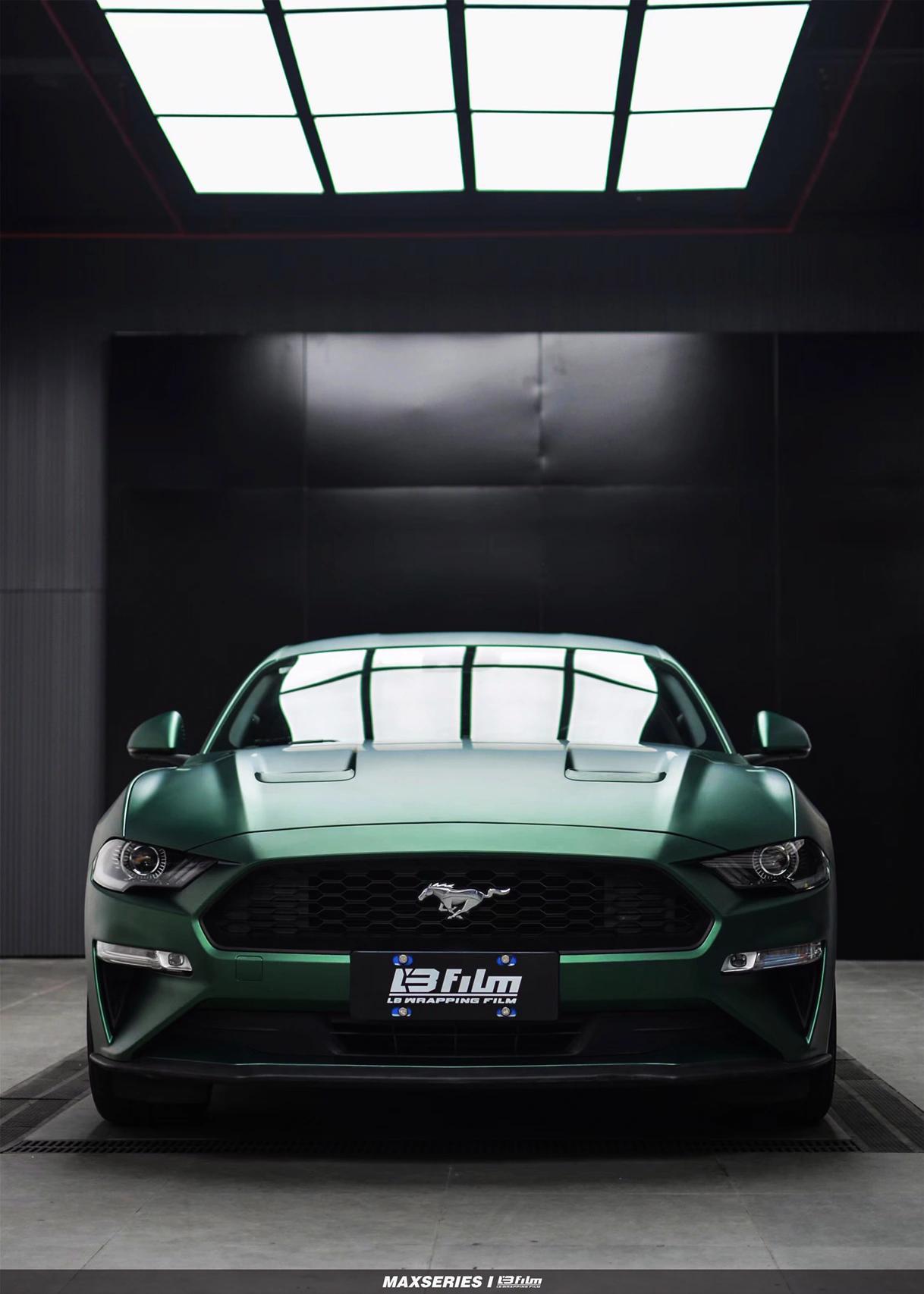 最新野馬汽車，技術(shù)革新與市場(chǎng)競(jìng)爭(zhēng)的展現(xiàn)