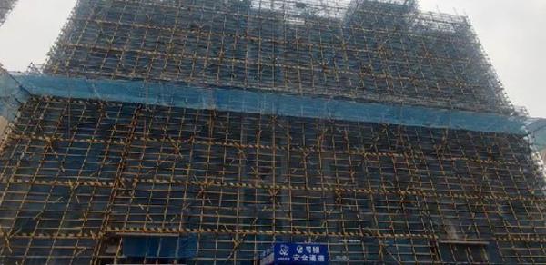 2024天天彩資料,數據整合決策_THZ10.556DIY工具版