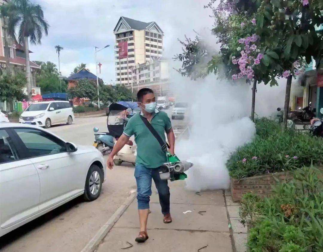 景洪登革熱最新疫情動(dòng)態(tài)，挑戰(zhàn)與自信之光的博弈