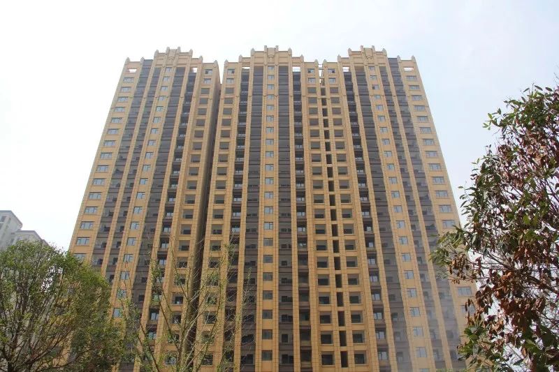 紫荊城邦最新動(dòng)態(tài)，揭開未來生活新篇章的序幕