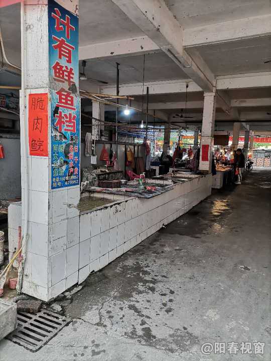 最新魚檔轉(zhuǎn)讓，把握商機(jī)，輕松開啟水產(chǎn)養(yǎng)殖事業(yè)之路