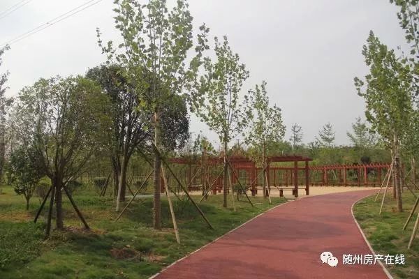隨州桃園公園最新動態(tài)揭秘，驚喜連連，不容錯過！