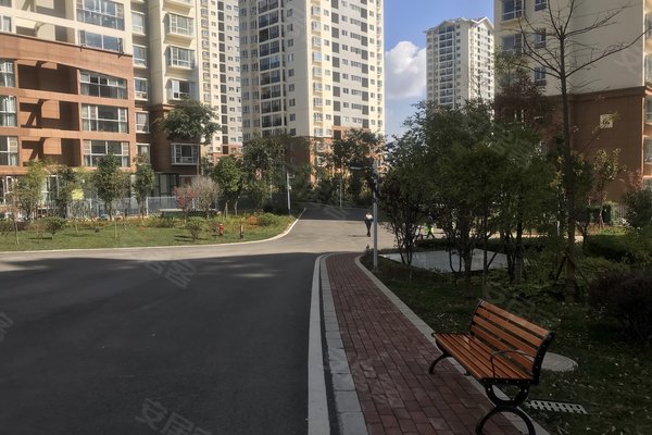 建禮家園最新動(dòng)態(tài)，小巷中的隱藏瑰寶揭秘