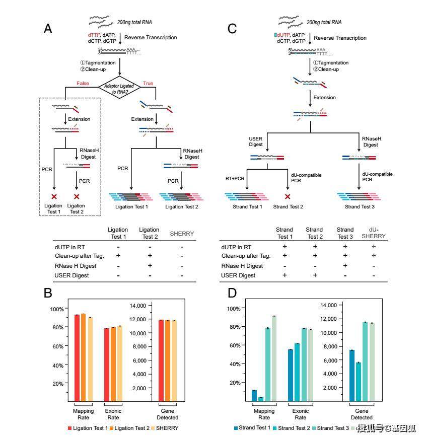 新澳門49圖資料,科學(xué)分析嚴謹解釋_BDU85.735跨平臺版