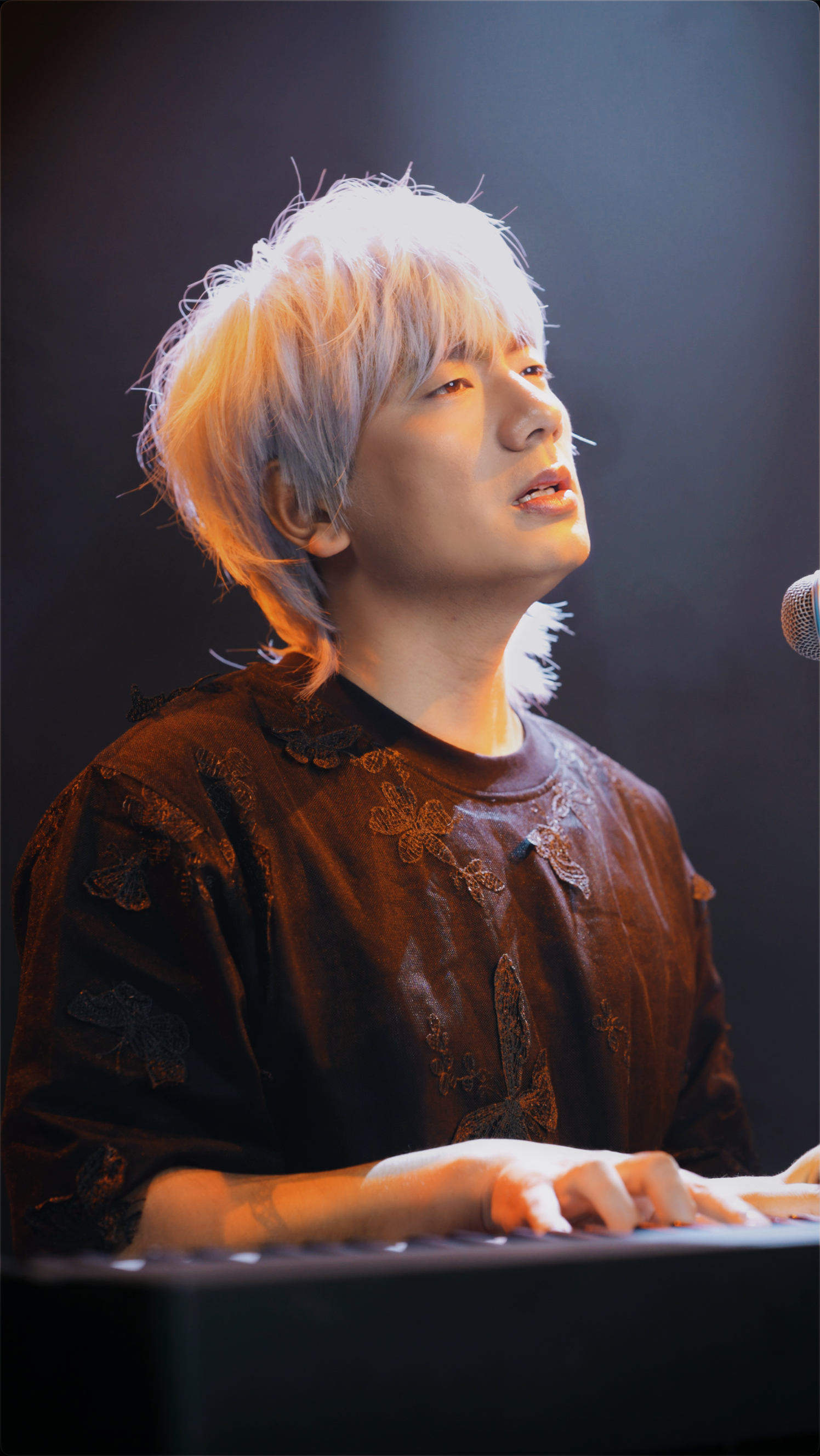 冷漠2024最新預(yù)告新歌，音樂與時(shí)代交融的期待之聲