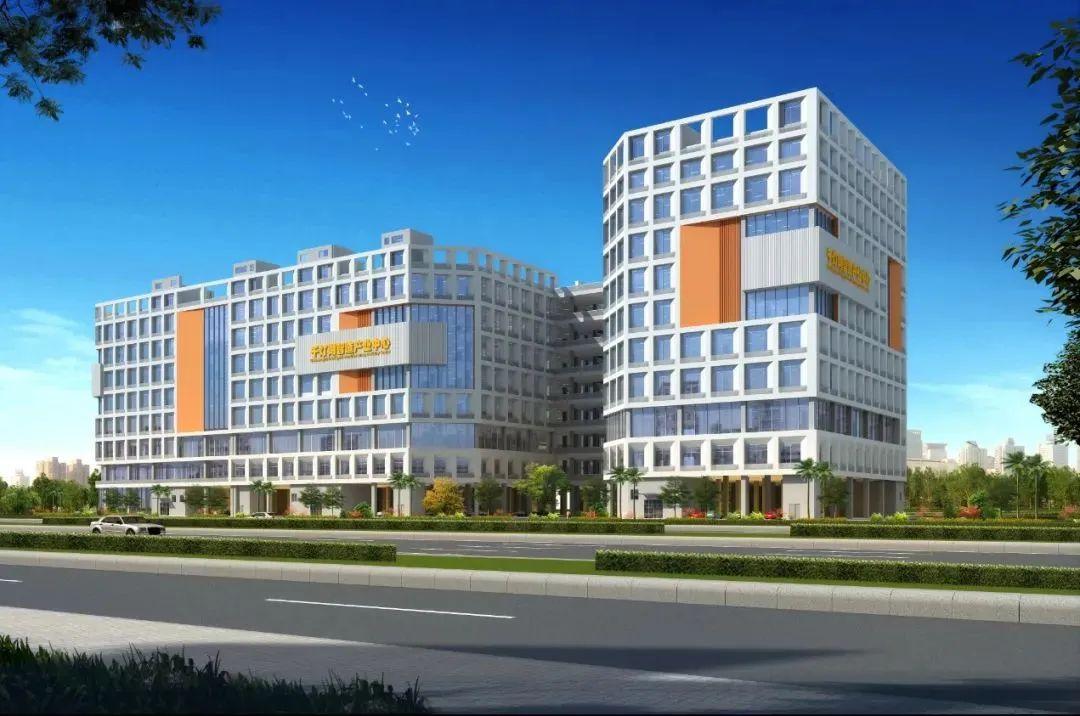 2024又要開始做核酸了,數(shù)據(jù)分析計劃_CSO83.529清新版