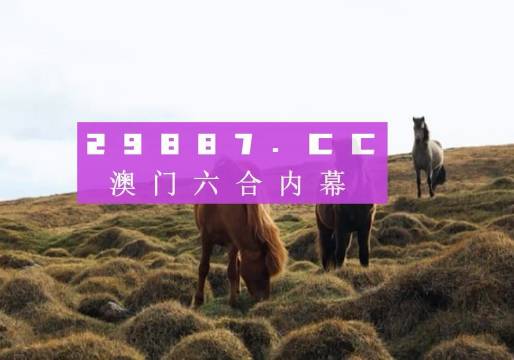 2023澳門一肖一碼,實地觀察數(shù)據(jù)設計_結合版51.427
