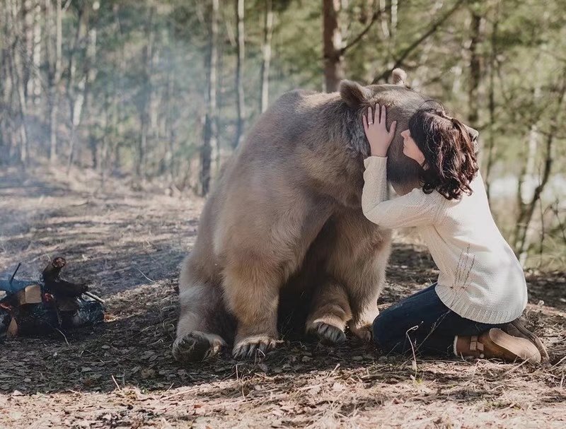 最新人與動物zoosen，小巷深處的獨(dú)特饕餮盛宴