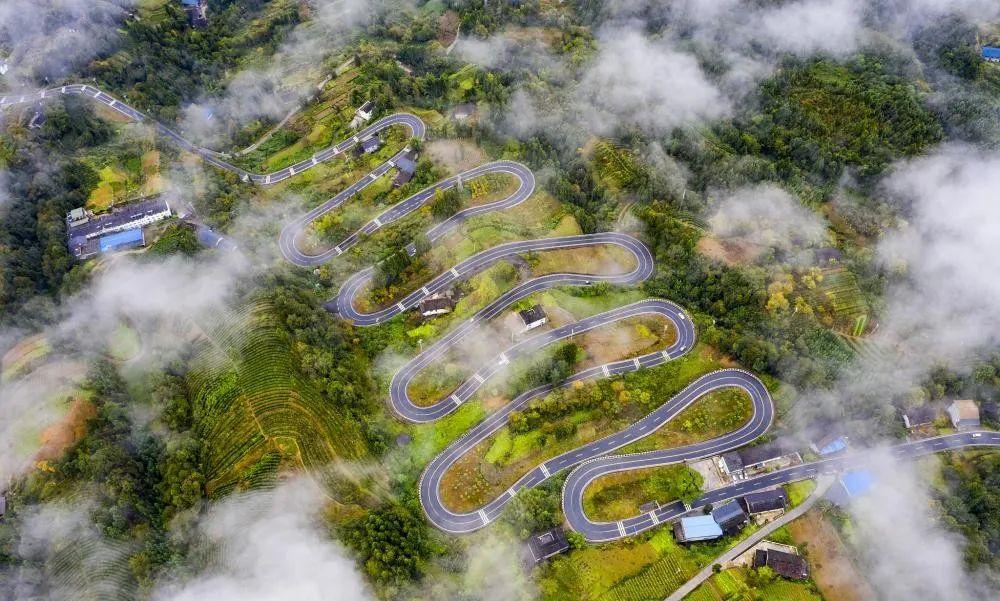 奉節(jié)云霧鄉(xiāng)的最新動態(tài)與溫馨日常，云霧中的快樂時(shí)光