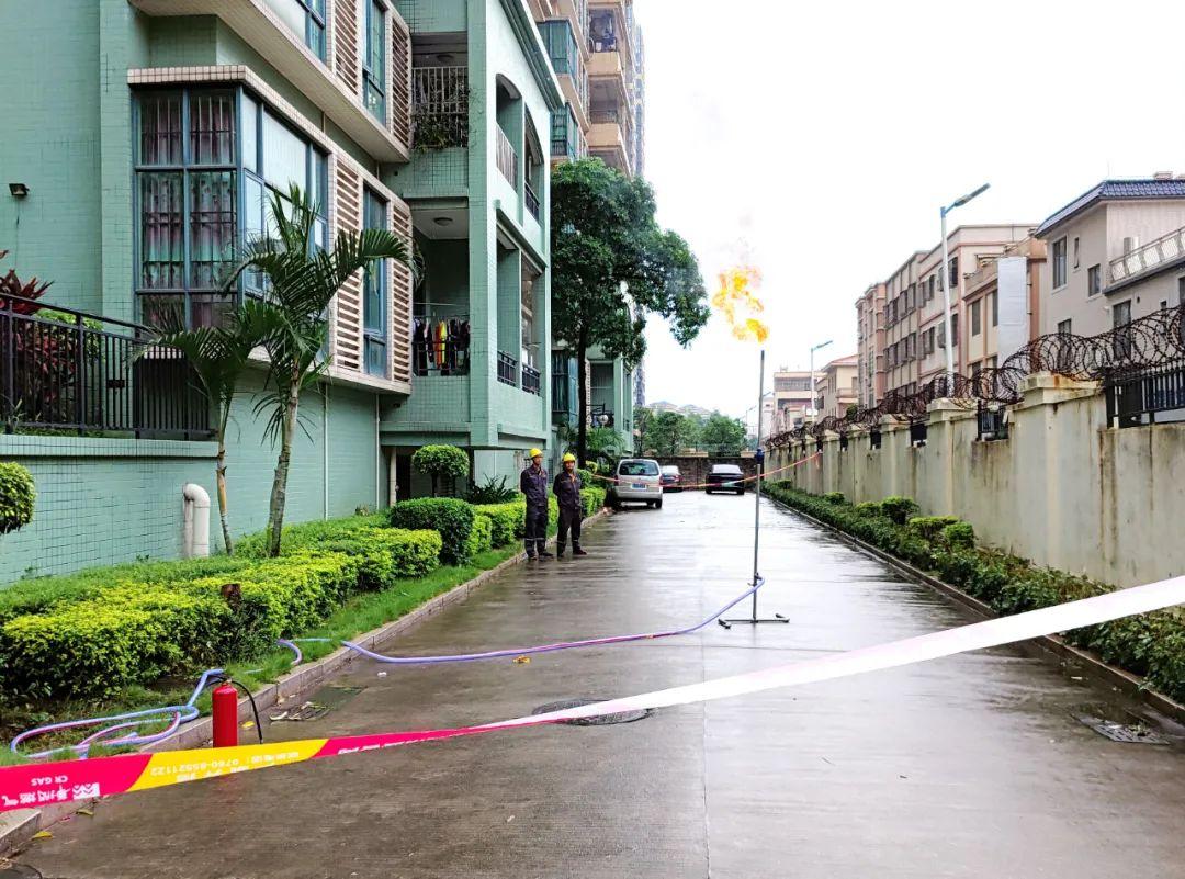 中山東鳳佛奧最新動(dòng)態(tài)，自然美景的探索之旅，尋找內(nèi)心平和與寧?kù)o