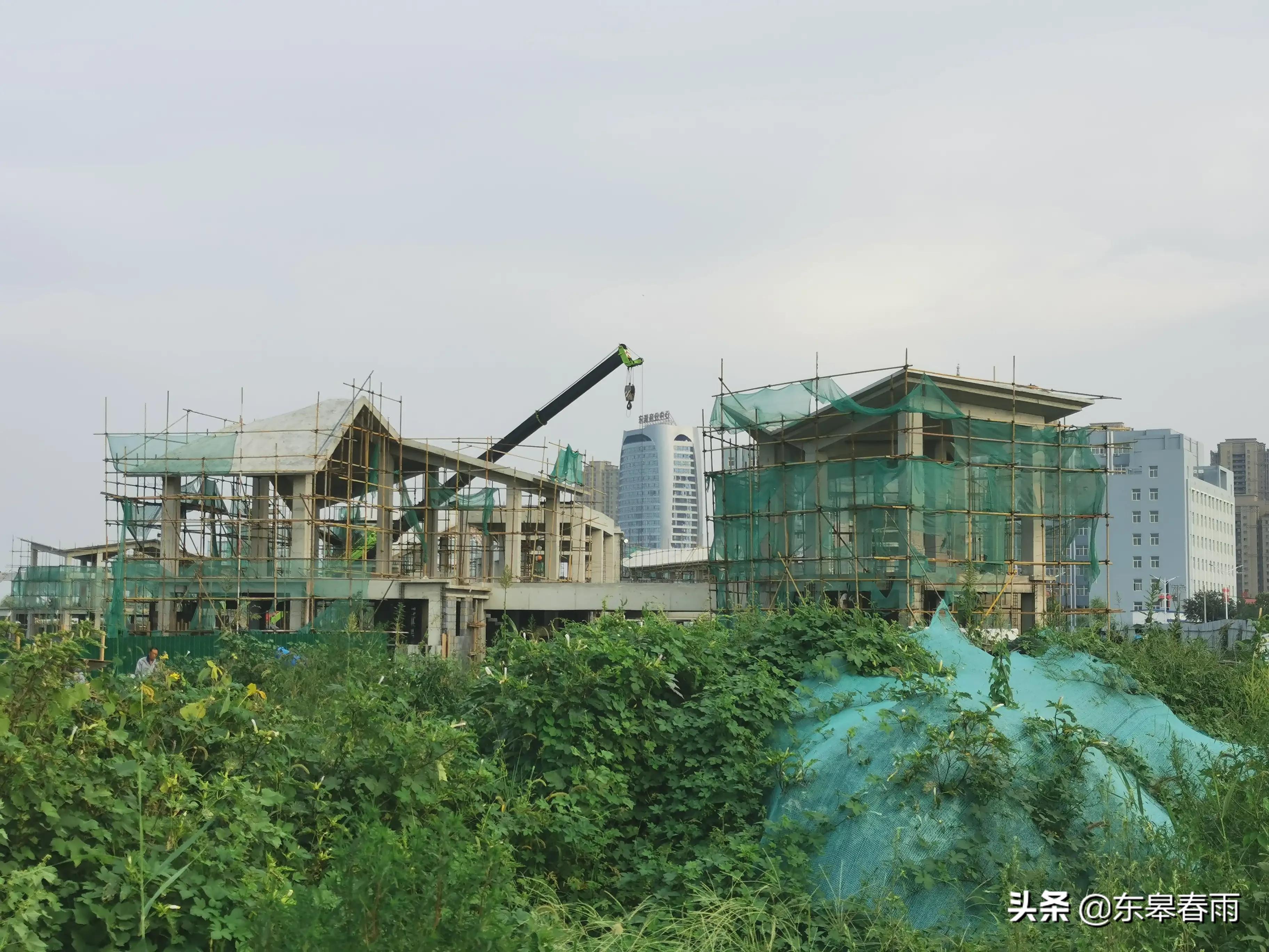 保定東湖一號最新動態(tài)與歡樂日常體驗(yàn)