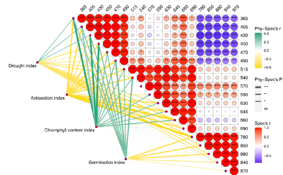 新澳門資料大全正版資料？奧利奧,科學(xué)解釋分析_增強版40.269