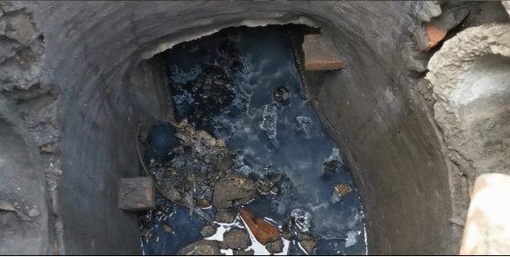 遂寧市電子廠最新招聘，與自然共舞，探尋內(nèi)心寧靜之旅