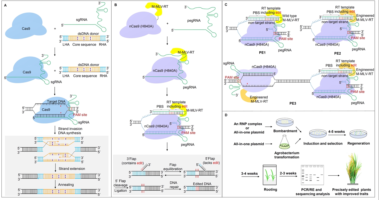 7777788888精準(zhǔn)跑狗圖 拒絕改寫,數(shù)據(jù)引導(dǎo)執(zhí)行策略_個性版63.850