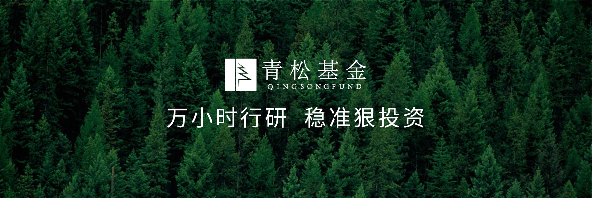 長(zhǎng)青樹(shù)眾籌最新動(dòng)態(tài)，背景、發(fā)展與時(shí)代地位探索