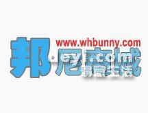 葫蘆島最新營業(yè)員招聘動態(tài)，背景分析與影響探討