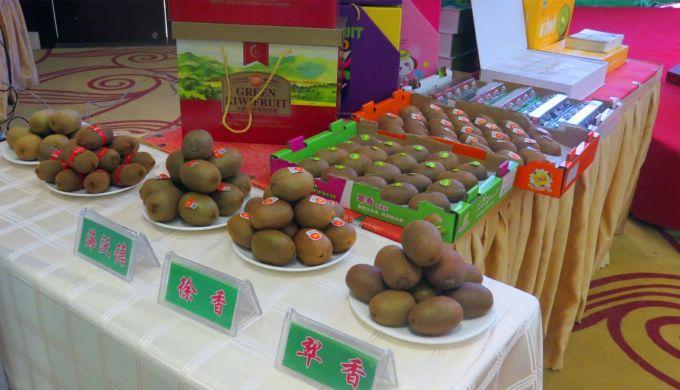 嘉興對接上海最新進展，城市崛起中的自信與成就感展現(xiàn)新面貌