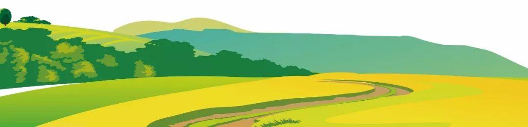 藍田縣未來藍圖，最新發(fā)展規(guī)劃揭秘