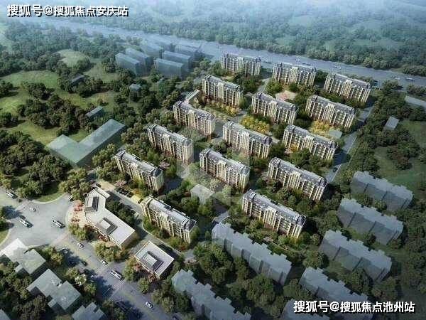 新浦塞納豪庭最新動態(tài)更新