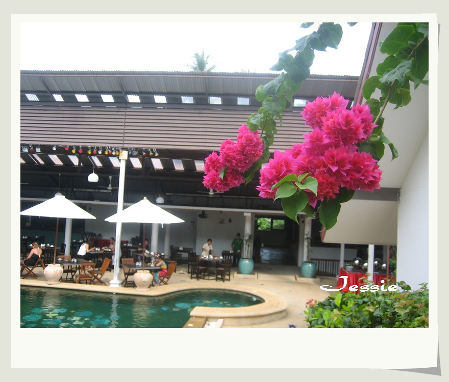 藏花閣最新觀點(diǎn)闡述與深度解析