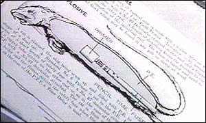 美國(guó)填尸最新進(jìn)展，高科技重塑生活，未來(lái)科技魅力體驗(yàn)