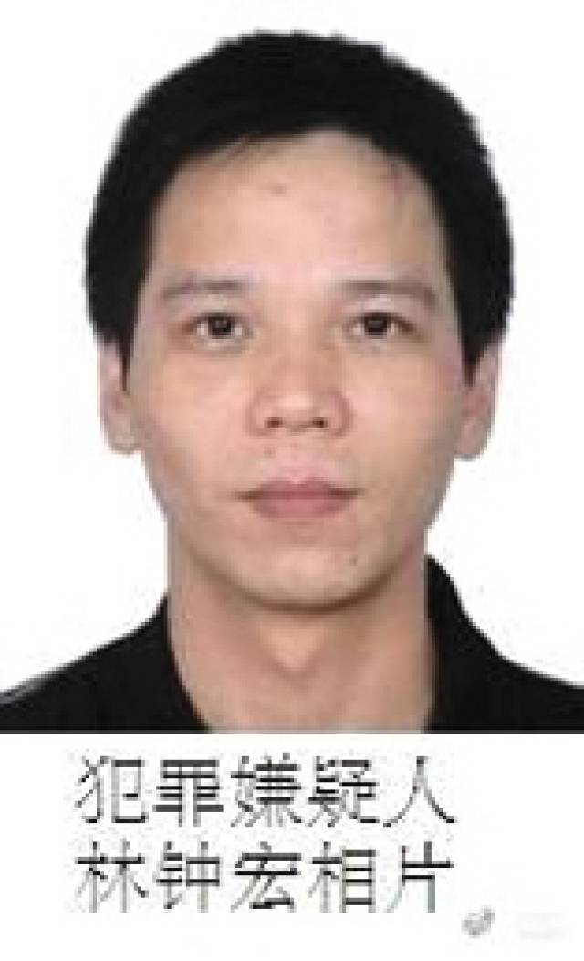 張宸案最新進(jìn)展，城市生活的溫馨日常關(guān)注