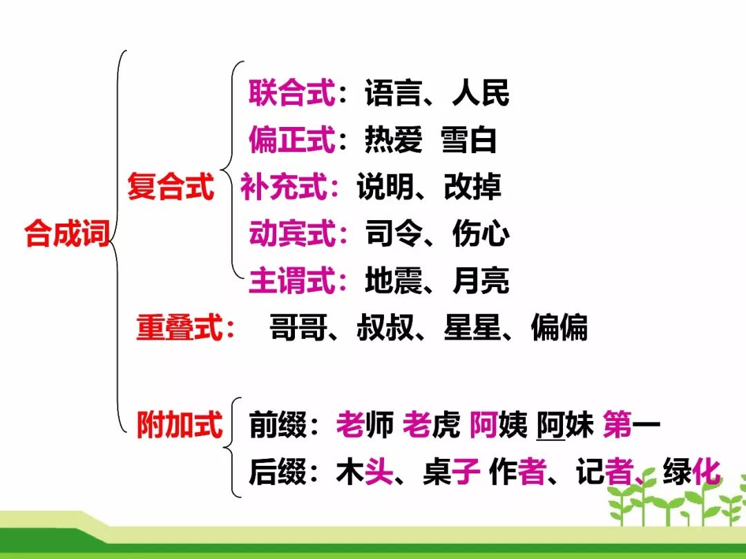 最新合成詞，語言發(fā)展的微觀視角探索