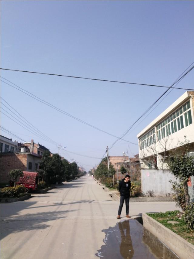 周至縣最新動態(tài)，發(fā)展脈搏與時代步伐的交融進展