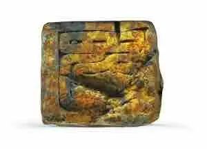 余厚蜀最新動(dòng)態(tài)，科技前沿探索與行業(yè)創(chuàng)新引領(lǐng)