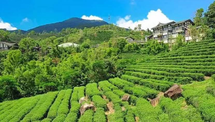 深圳驚喜活動(dòng)溫情之旅，日常中的特別瞬間