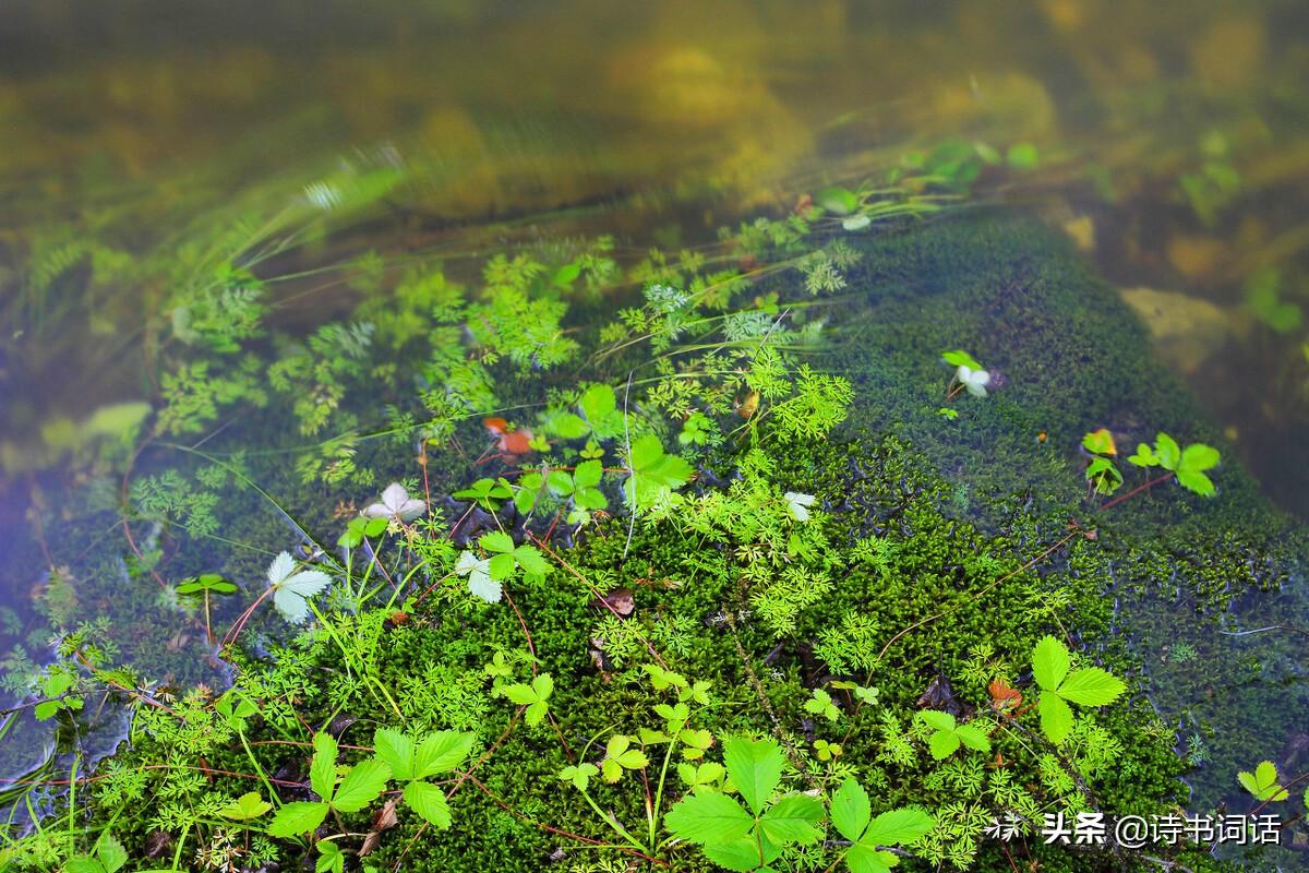 南山高樓崛起，背景、發(fā)展與時(shí)代地位全景解析