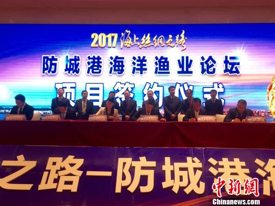 防誠港最新,防誠港的最新發(fā)展，機遇與挑戰(zhàn)并存