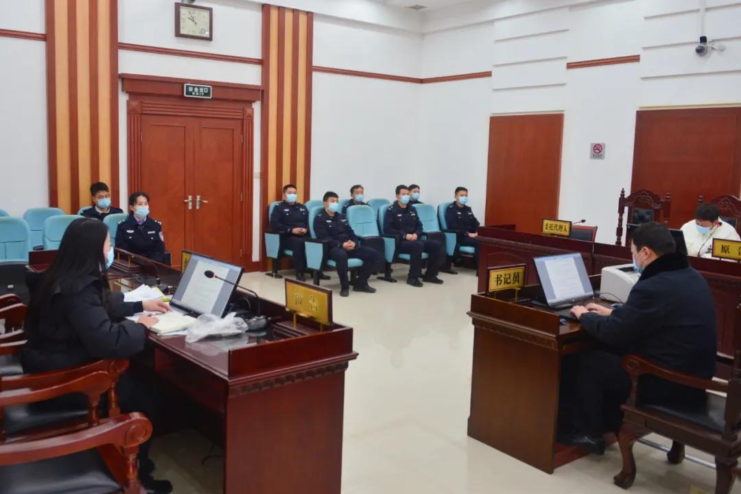 憲法案件最新動(dòng)態(tài)，小巷深處的情懷與特色小店的奇遇