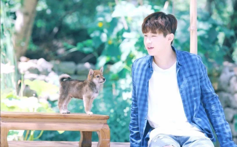 夏雪黃磊攜手演繹別樣精彩人生，新作品震撼來襲！???