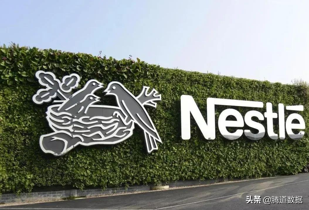 最新電力資訊探秘，巷弄深處的電力奇趣小店