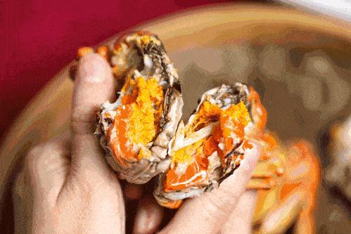 ??陽澄湖螃蟹上市季節(jié)情報，吃貨必知的秋季美味盛宴！??