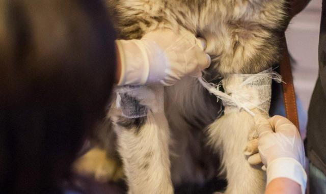 蘇州近期街邊情況，自然美景的心靈之旅體驗(yàn)紀(jì)實(shí)