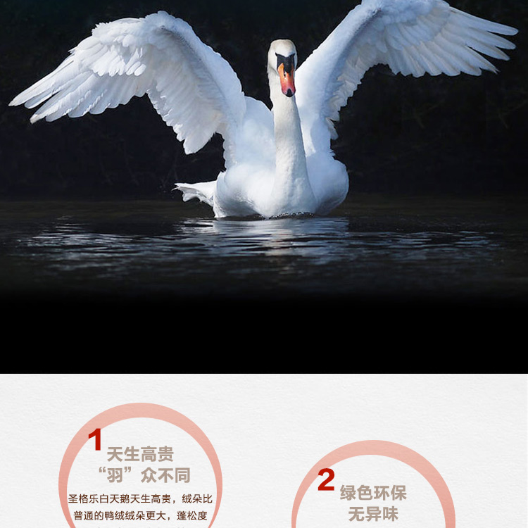 探索小巷羽絨寶藏，90白鵝絨價(jià)格與溫暖故事